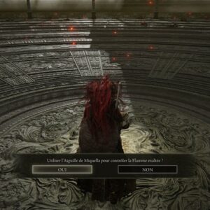 utiliser l'Aiguille de Miquella p