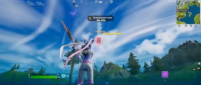 Emplacement de l’Omnipuce 3 à loot lake Fortnite