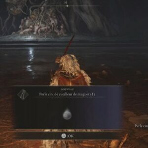 Emplacements Perles cinéraires de cueilleur de muguet Elden Ring