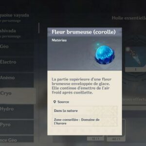 Fleur brumeuse (corolle)