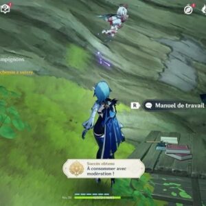 Le mineur disparu-Genshin Impact