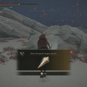 Pierre de forge des dragons anciens-Champs enneigés consacrés intérieurs