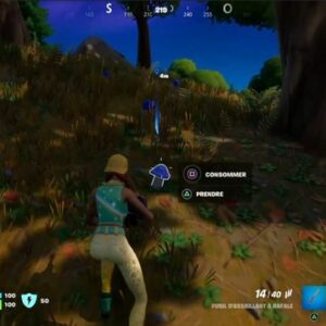 emplacement champignons bleus Fortnite-1