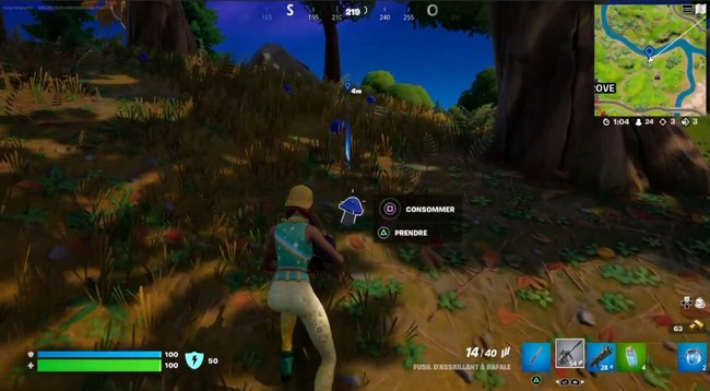 emplacement champignons bleus Fortnite-1