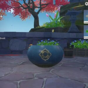 la cour fleurie 2- Soyeux et robuste, le lotus dans l'étang