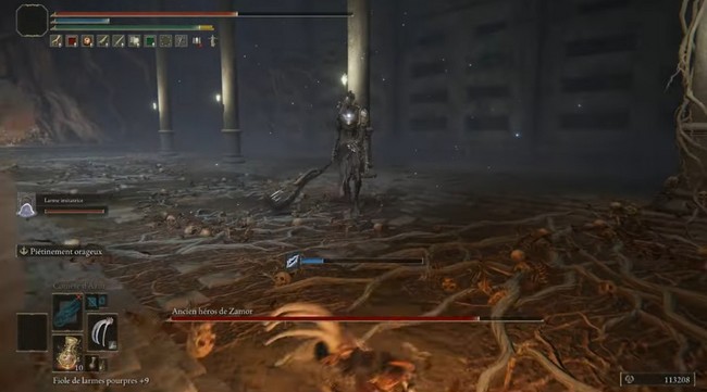 Ancien héros de Zamor