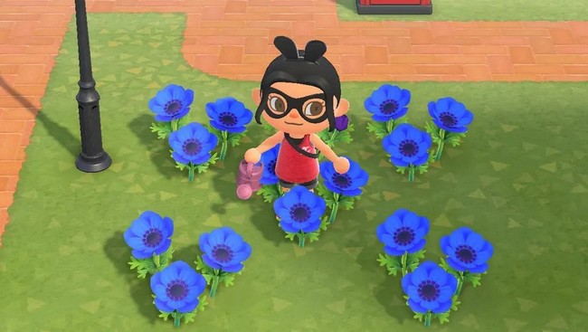 Anémones Animal Crossing : New Horizons