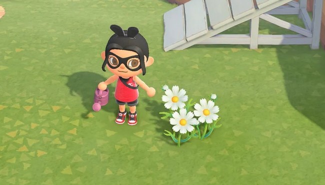 Cosmos animal-crossing-new-horizons