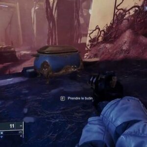 Emplacement du Coffre Bassins Royaux au pied de la grandeu-1- destiny 2r
