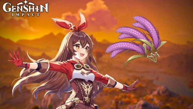 Emplacements Queue de cheval Genshin Impact-1