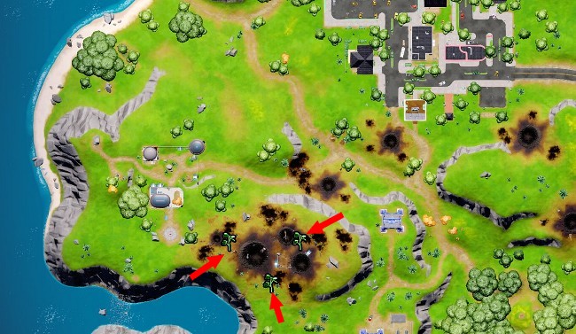 Emplacements des jeunes arbres au sud-ouest de Greasy Grove