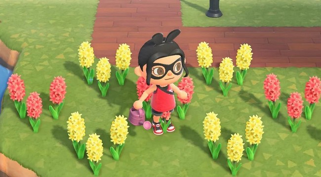 Jacinthes animal-crossing-new-horizons