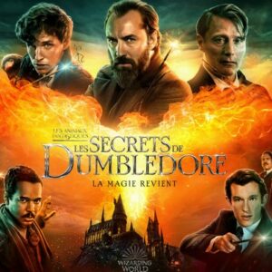 Les Animaux Fantastiques : les Secrets de Dumbledore en streaming