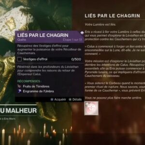 Liés par le chagrin