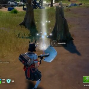 Planter des jeunes arbres dans un cratère