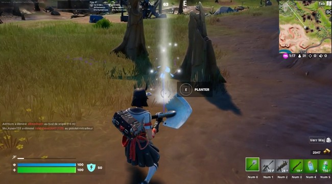 Planter des jeunes arbres dans un cratère