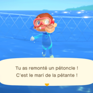 Trouver des Pétoncles animal crossing