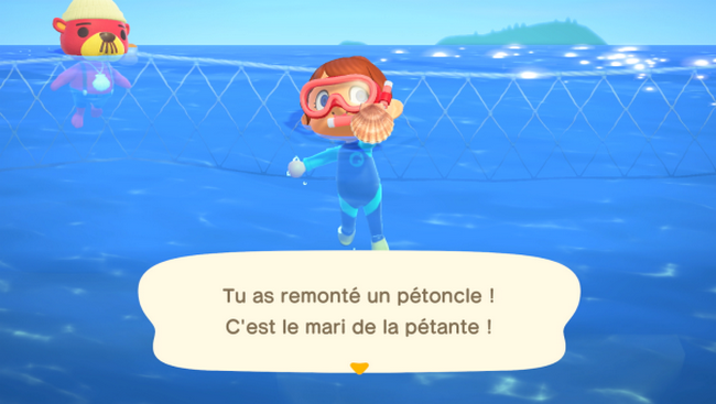 Trouver des Pétoncles animal crossing