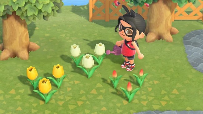 Tulipes animal-crossing-new-horizons