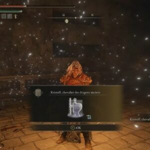 'invocation Kristoff chevalier des dragons anciens