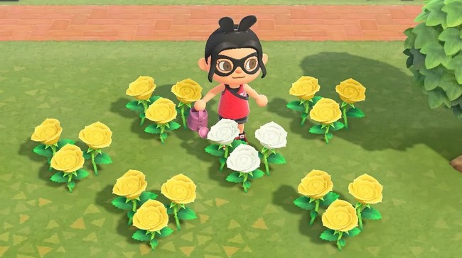 roses animal-crossing-new-horizons