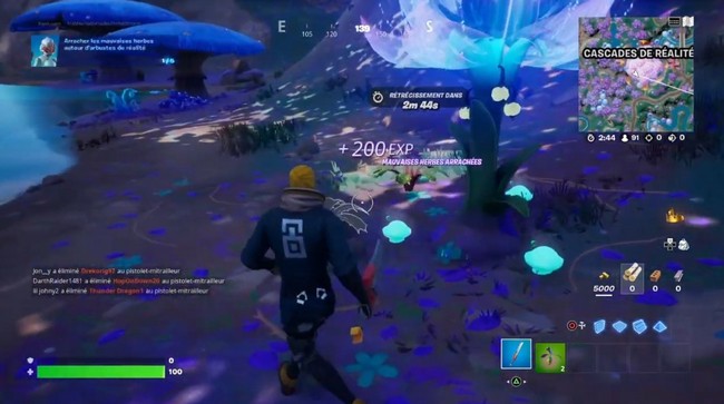 arbuste de réalité