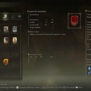 Emplacement Essaim de mouches Elden Ring : où la trouver ?