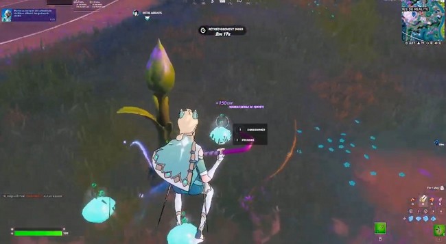 fruits des arbustes de la réalité dans Fortnite