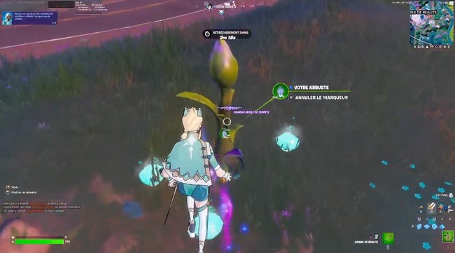 Plantez les graines que vous avez ramassées pour avoir l'arbuste