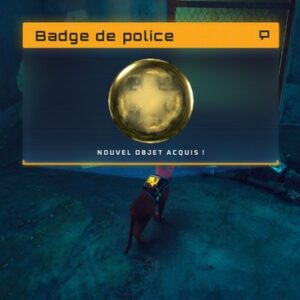 Badge de police stray