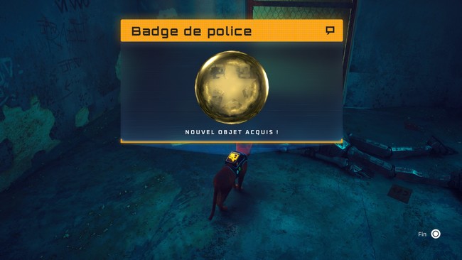 Badge de police stray