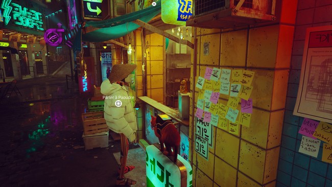 Centre-ville stray- badge de chat