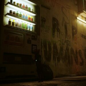 Emplacement de la boisson énergétique 2 stray-1