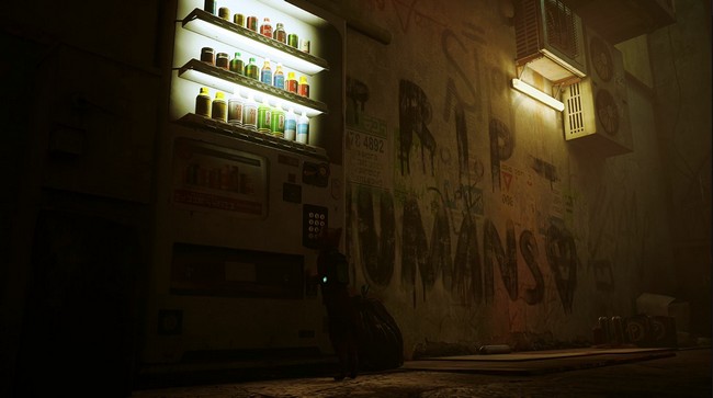 Emplacement de la boisson énergétique 2 stray-1