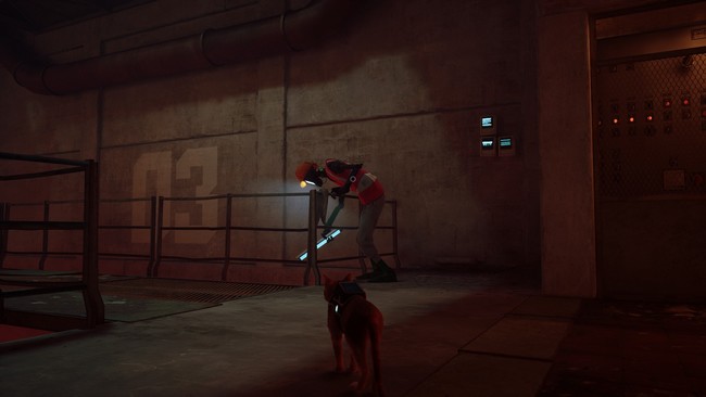 Emplacement du PNJ (l'ouvrier) de Stray