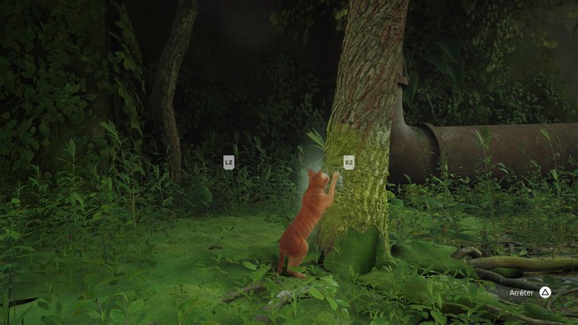 Emplacement à gratter dans Chapitre 1 À l'intérieur du mur