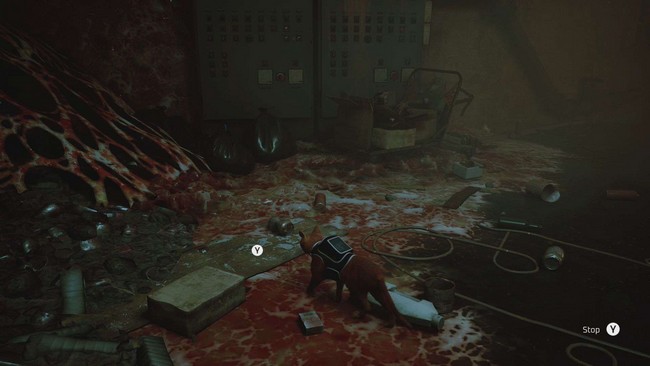 Où gratter dans le Chapitre 8 : Les égouts