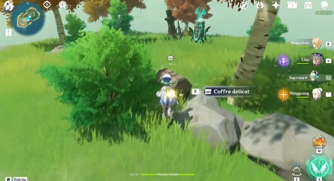 Puzzle Stèles anémo