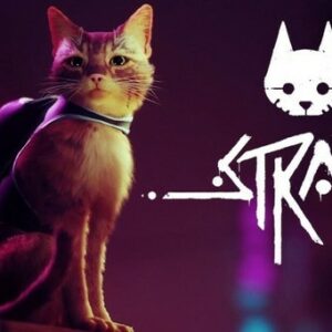 Quelle est la date de sortie de Stray