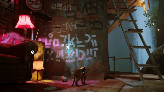 emplacement Fleur violette stary