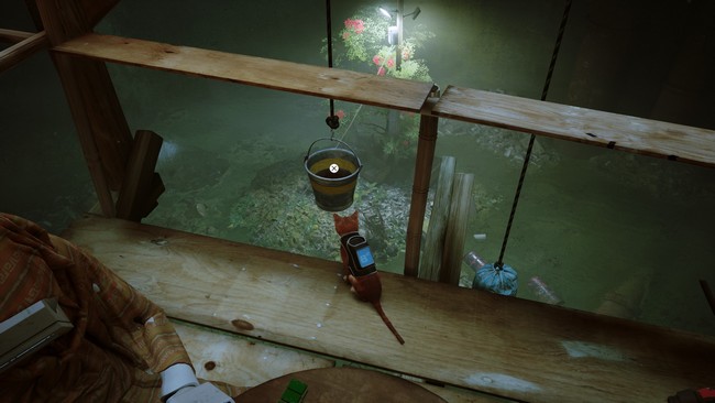 emplacement fleur rouge