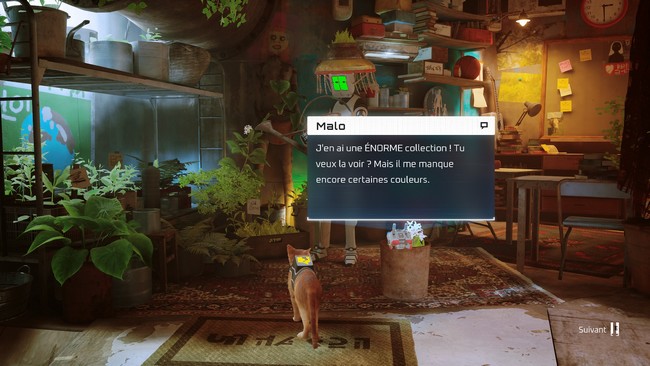 Emplacements des fleurs : rouge, jaune et violette