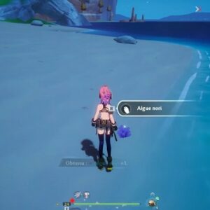 Algue Nori Tower of fantasy