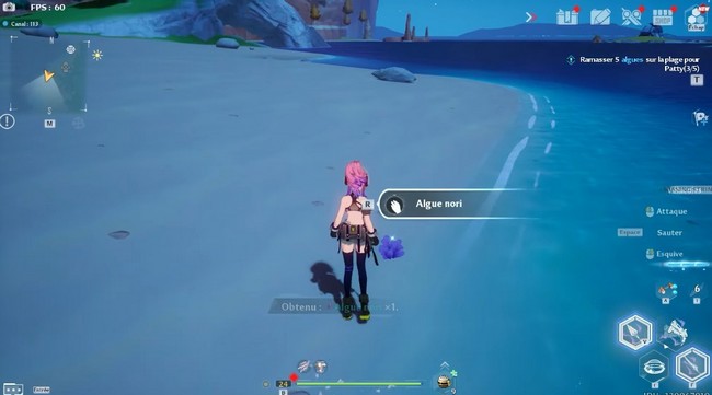 Algue Nori Tower of fantasy