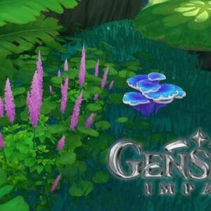 Emplacement Champignon sacramental Genshin Impact