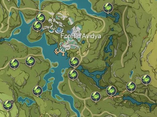 Emplacement des Dendroculus à La Forêt d'Avidya