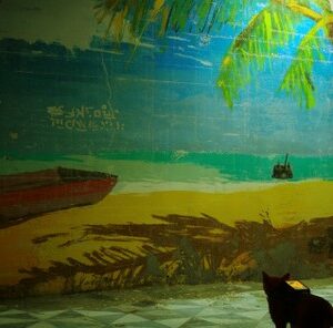 Emplacement du souvenir de Stray dans L'appartement