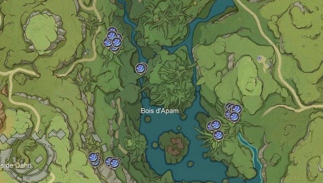 Emplacements des Champignons sacramental au Bois d'Apam