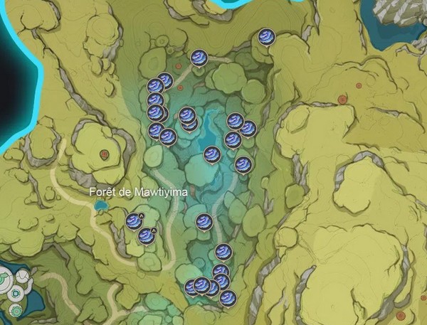Emplacements des Champignons sacramental dans la forêt de Mawtiyima
