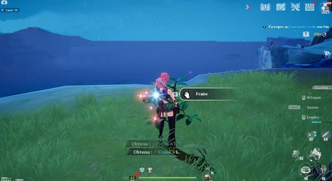 Fraise Tower of Fantasy